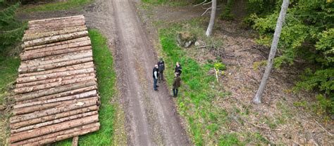 logstackpro|fotovermessung holz.